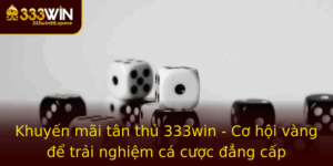 Khuyen Mai Tan Thu 333Win Co Hoi Vang E Trai Nghiem Ca Cuoc Ang Cap