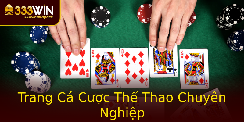 Trang Cá Cược Thể Thao Chuyên Nghiệp Trang Cá Cược Thể Thao Chuyên Nghiệp